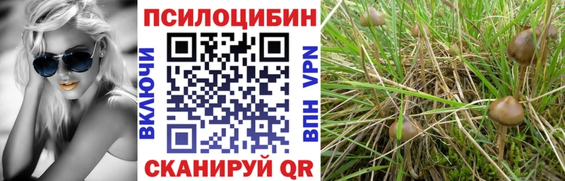 Галлюциногенные грибы Magic Shrooms  Купить где  Суздаль 