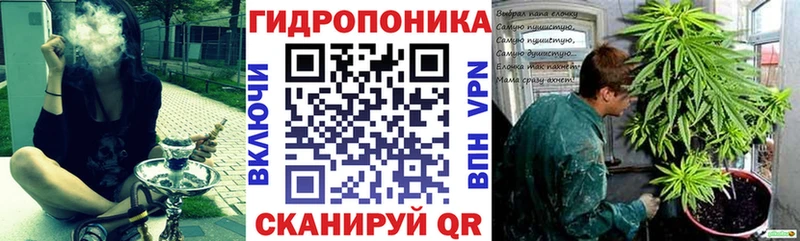 Каннабис индика  Купить закладки  Суздаль 